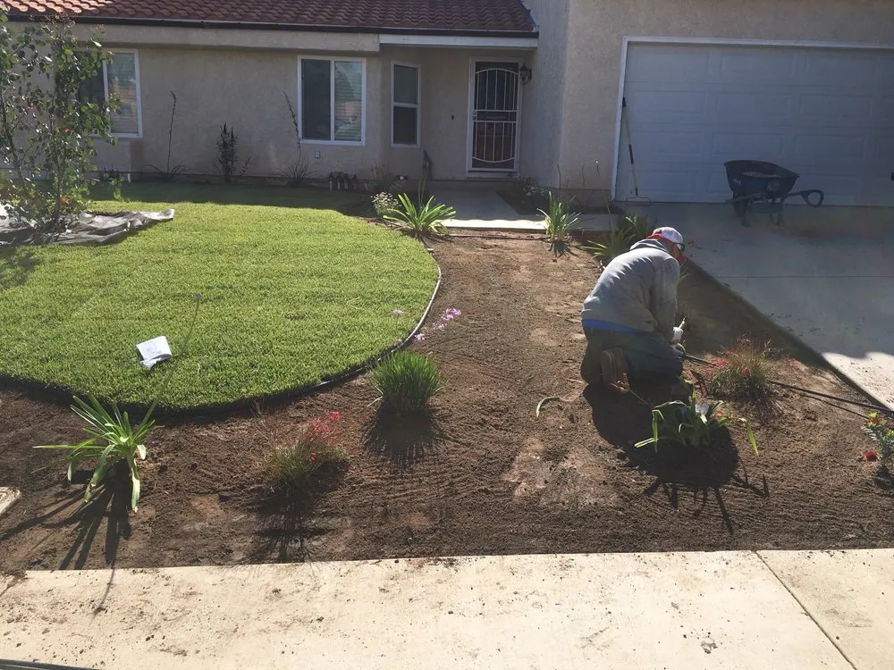 Local yard cleanup service in Lancaster, CA - Segale's Landscape