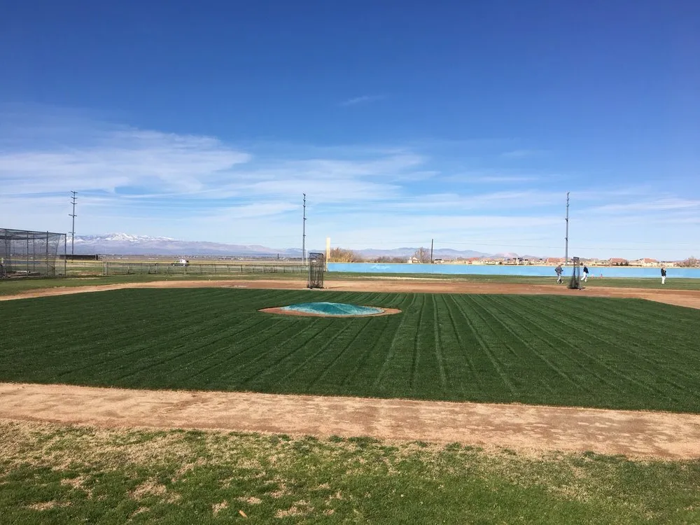 Professional landscape installation in Lancaster, CA - Segale's Landscape