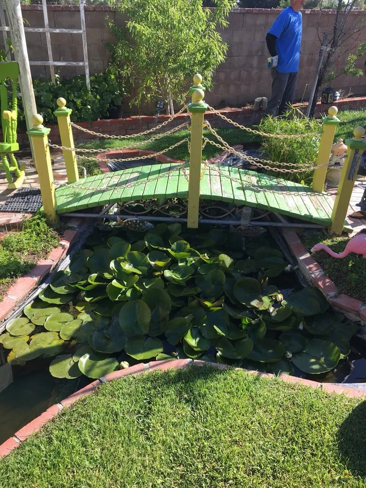 Local residential landscaping experts serving Lancaster, CA - Segale's Landscape