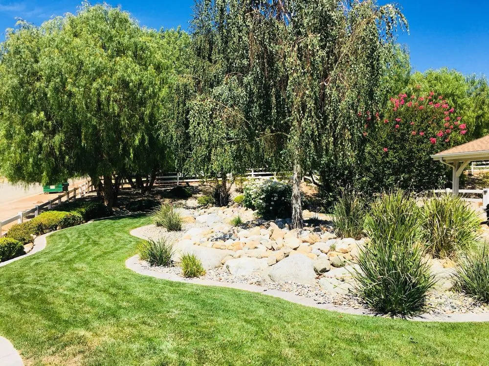 Top-rated yard maintenance experts serving Lancaster, CA - Segale's Landscape