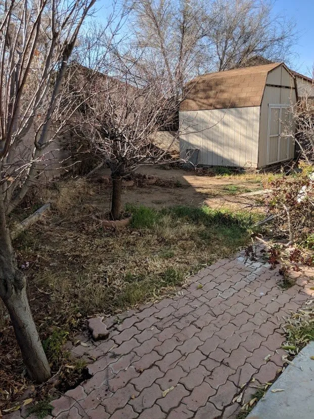 Top-rated yard maintenance in Lancaster, CA - Segale's Landscape