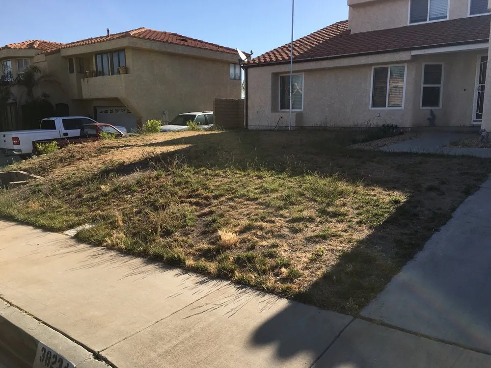 Trusted yard cleanup service experts serving Lancaster, CA - Segale's Landscape