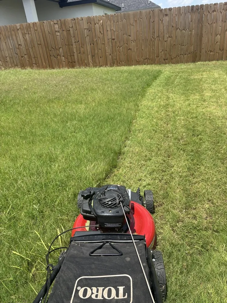 Trusted garden landscaping experts serving Alton, TX - Segovia