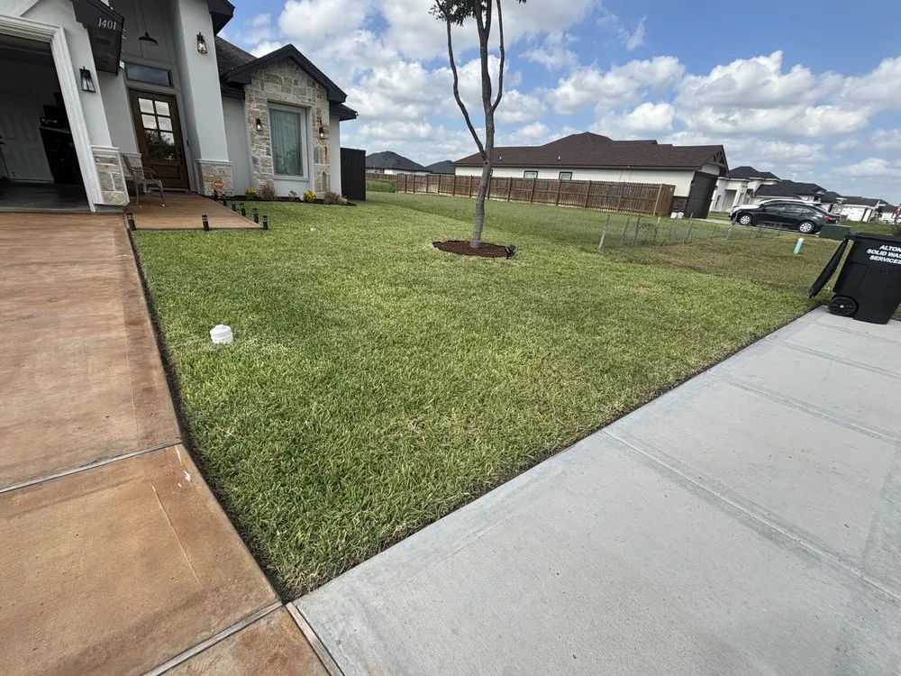 Expert outdoor landscaping in Alton, TX - Segovia