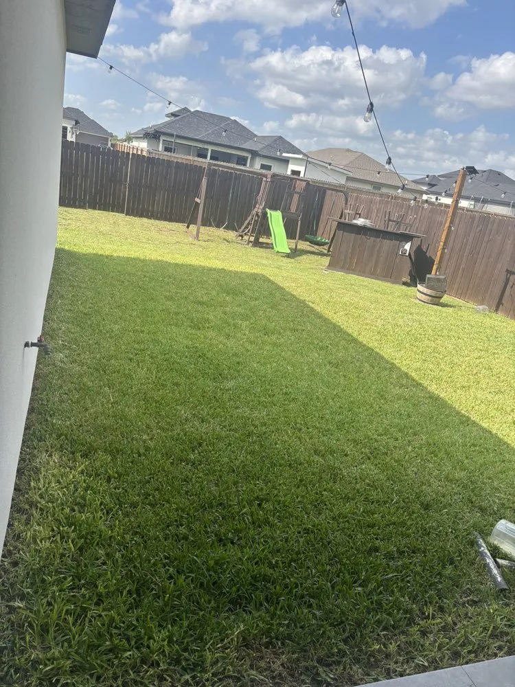 Trusted landscaping services in Alton, TX by Segovia