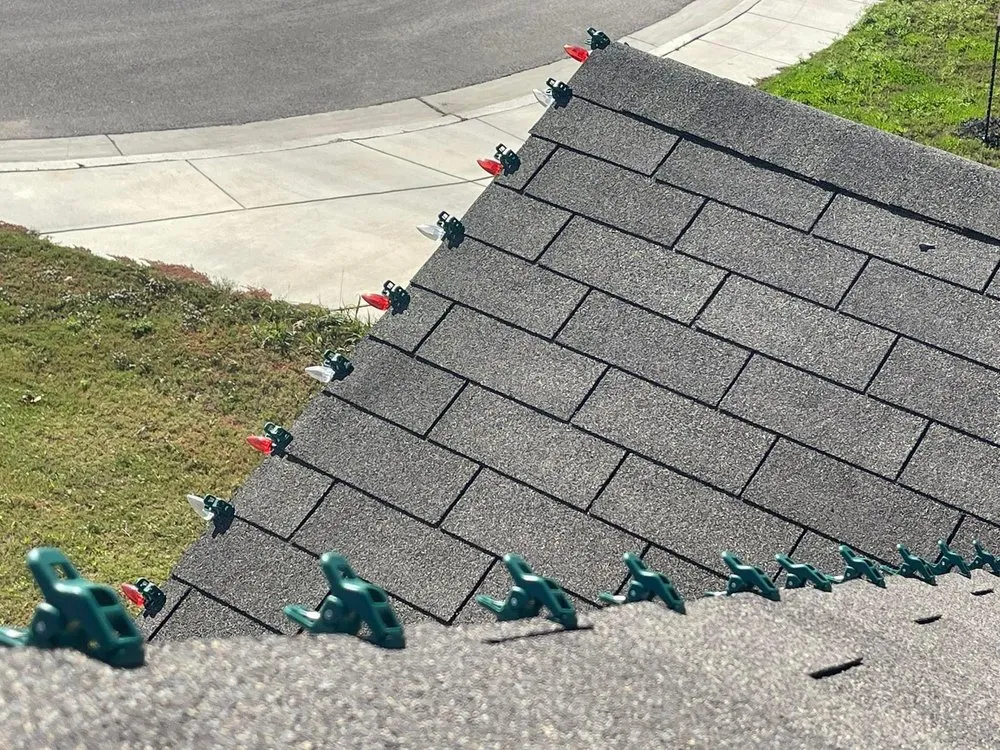 Affordable landscape installation in Seguin, TX by Segtex Lawn & Landscape