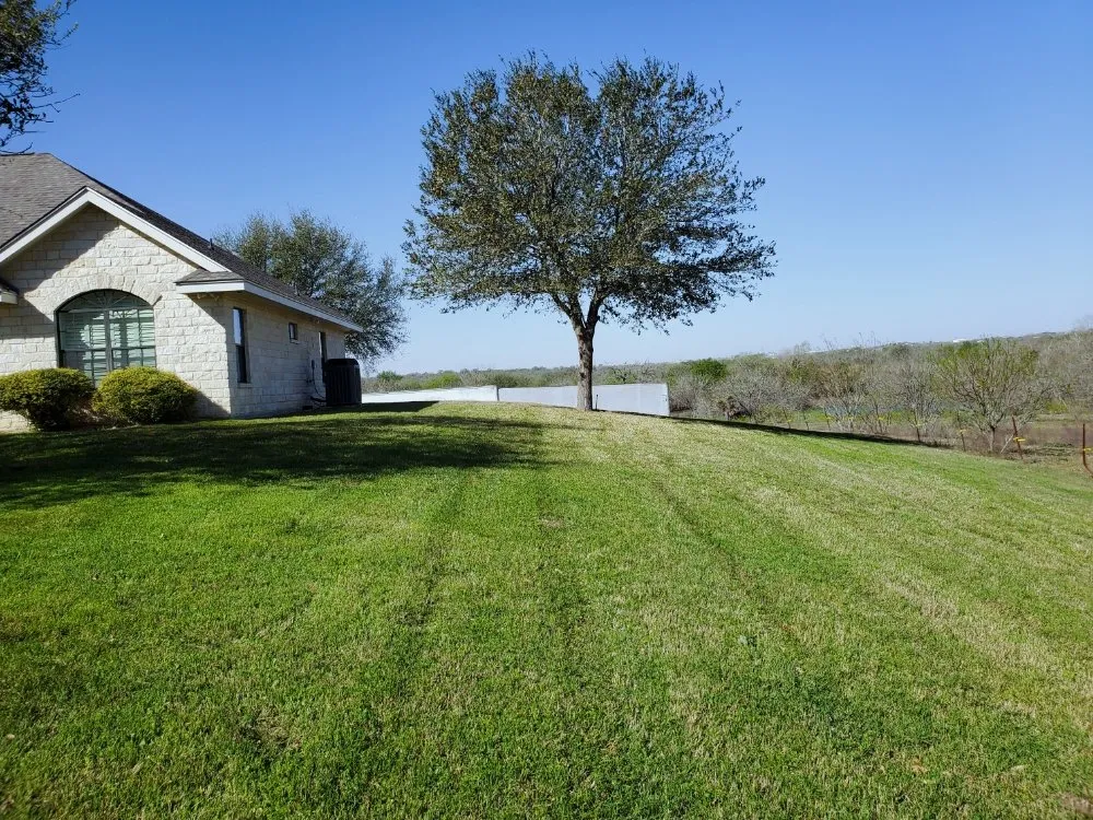 Local outdoor landscaping experts serving Seguin, TX - Seguin Lawn Maintenance