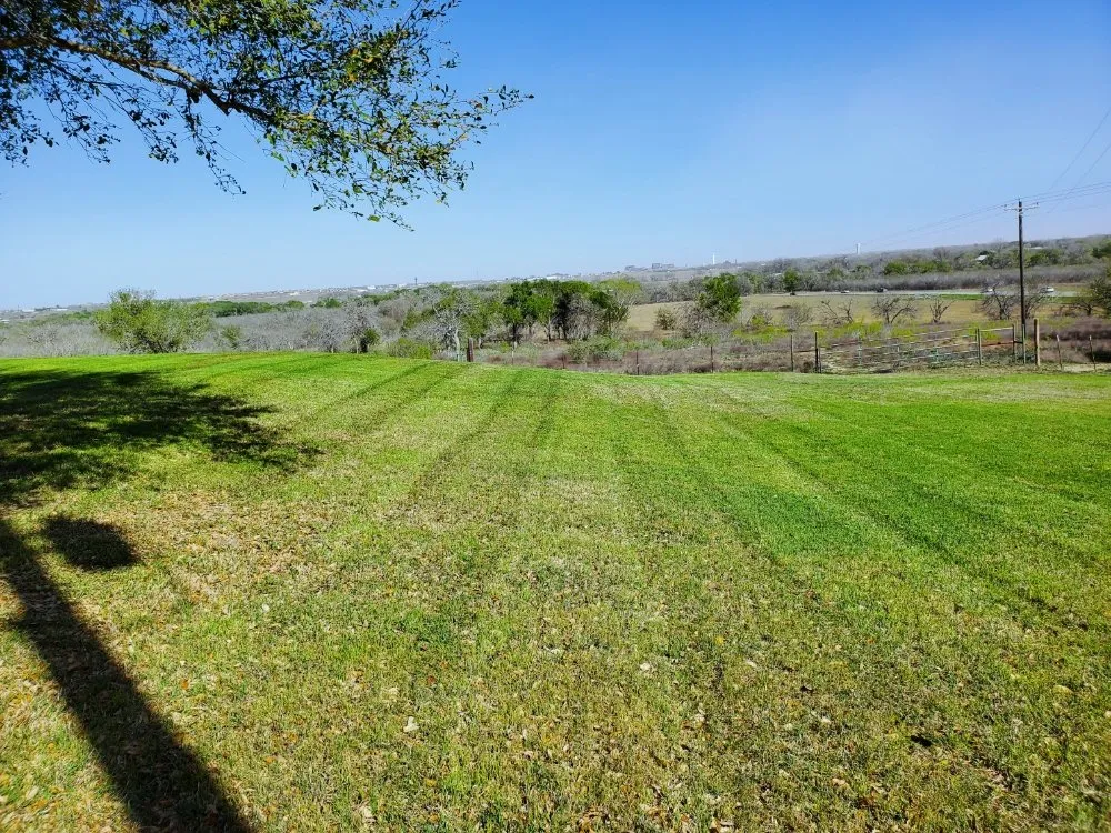 Custom residential landscaping experts serving Seguin, TX - Seguin Lawn Maintenance