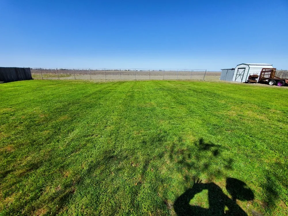 Professional lawn mowing service experts serving Seguin, TX - Seguin Lawn Maintenance