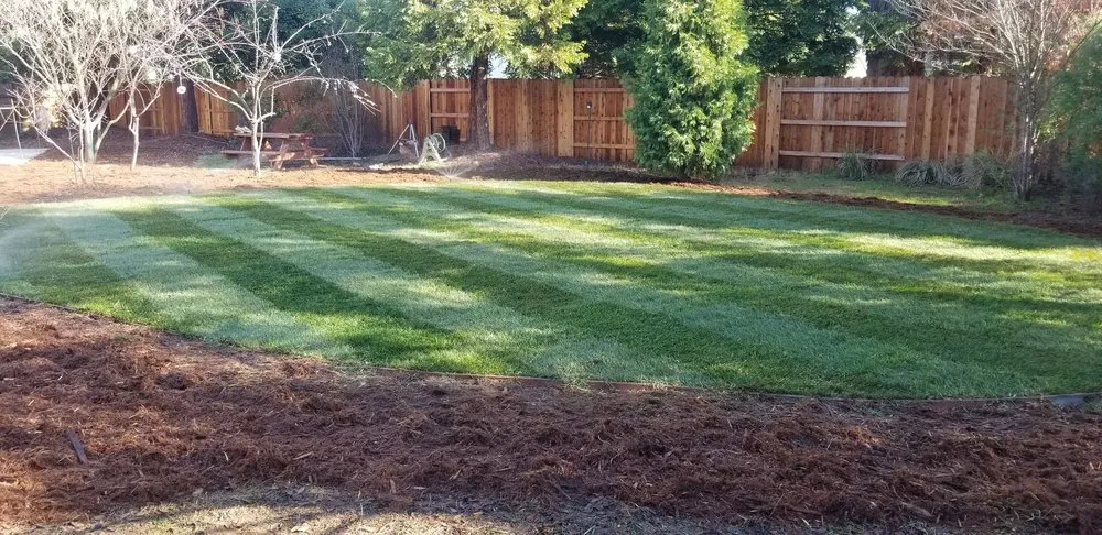 Top-rated landscape installation in Placerville, CA - Segura Brothers Landscaping