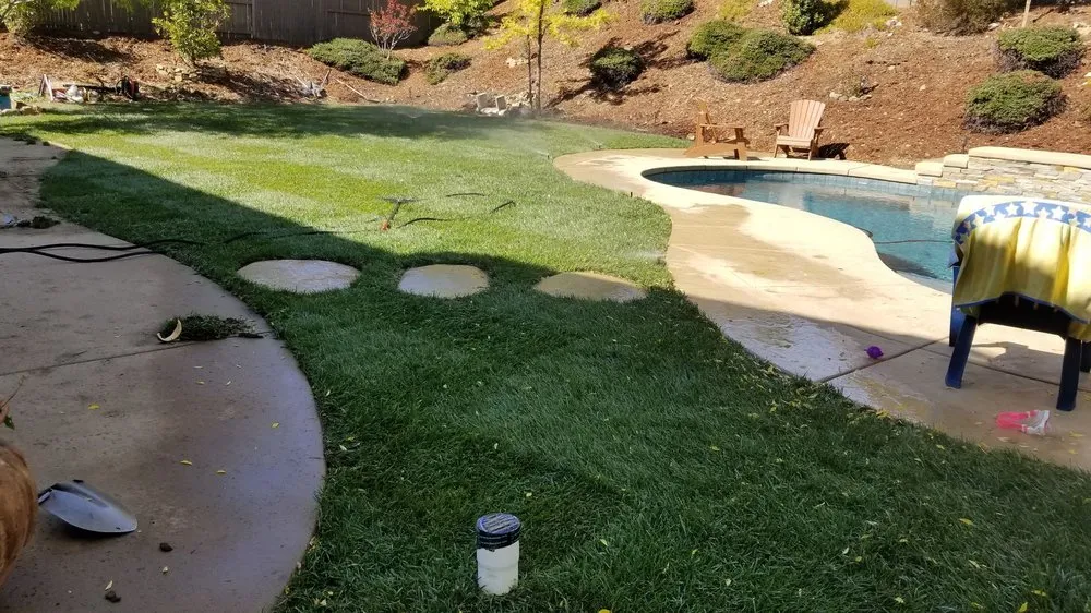 Expert outdoor landscaping with custom design across Placerville, CA - Segura Brothers Landscaping