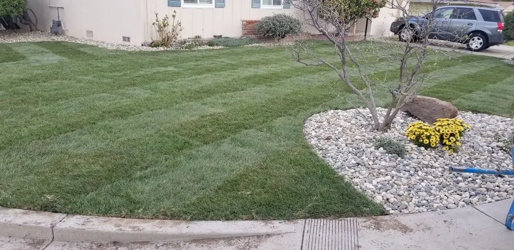 Custom garden landscaping for residential properties in Placerville, CA by Segura Brothers Landscaping