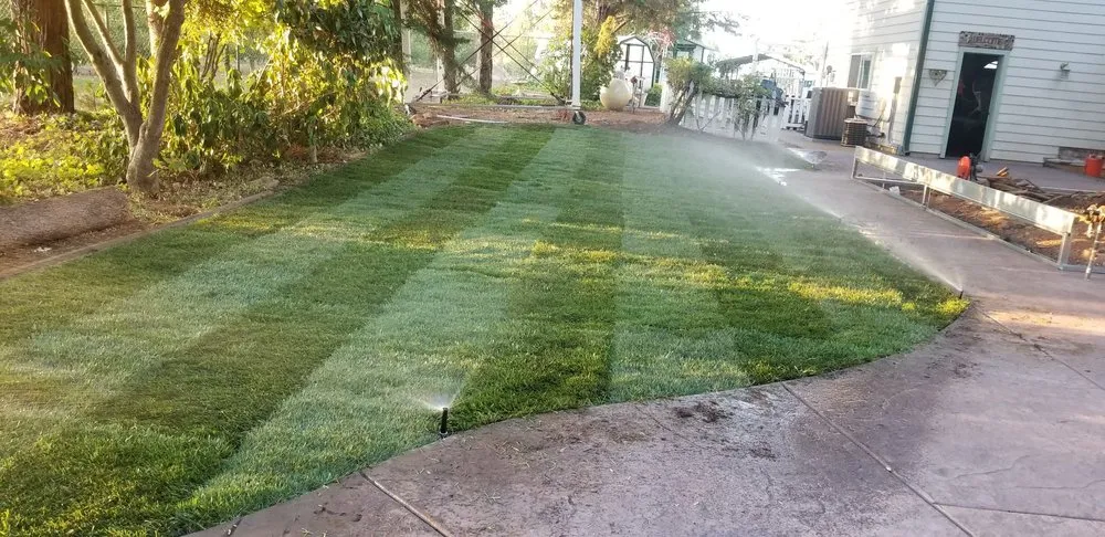 Reliable yard maintenance experts serving Placerville, CA - Segura Brothers Landscaping