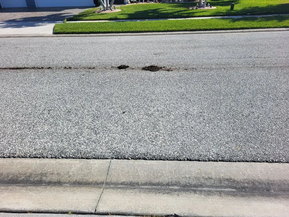 Professional garden landscaping experts serving Melbourne, FL - Segura Landscaping & Sod