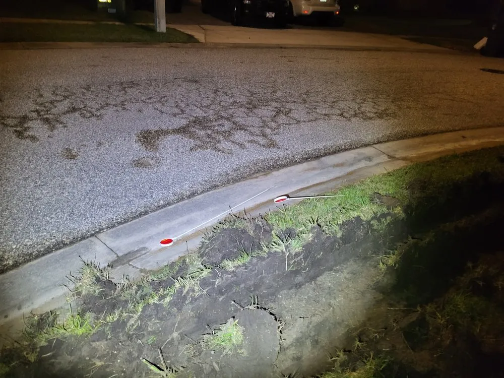 Affordable yard cleanup service experts serving Melbourne, FL - Segura Landscaping & Sod