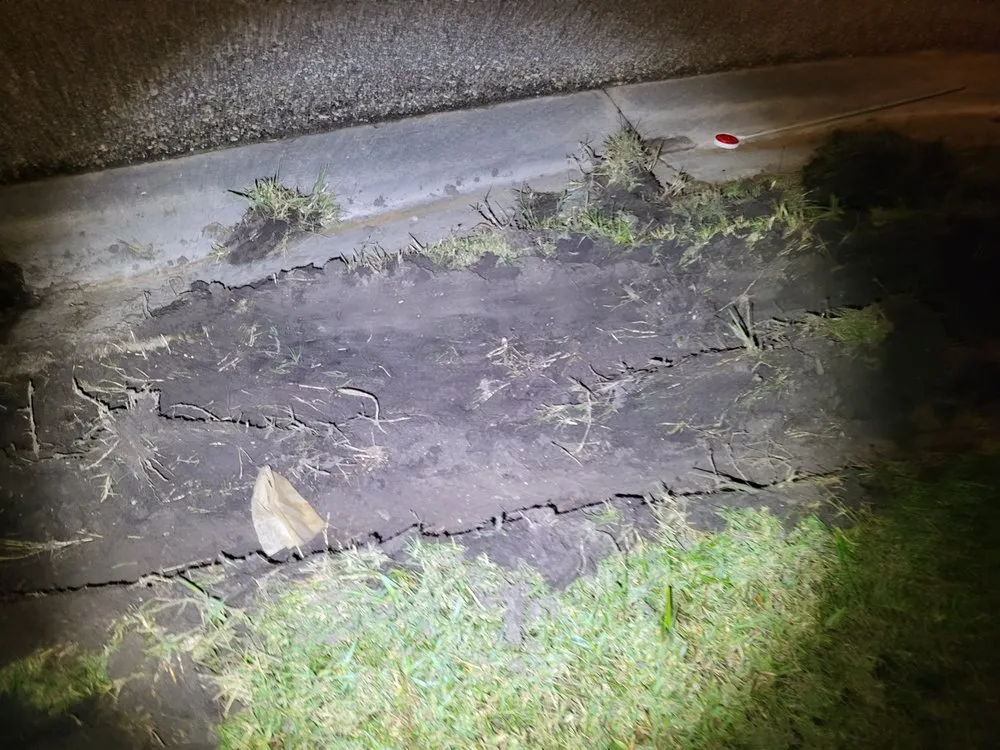 Top-rated landscaping services near you across Melbourne, FL - Segura Landscaping & Sod