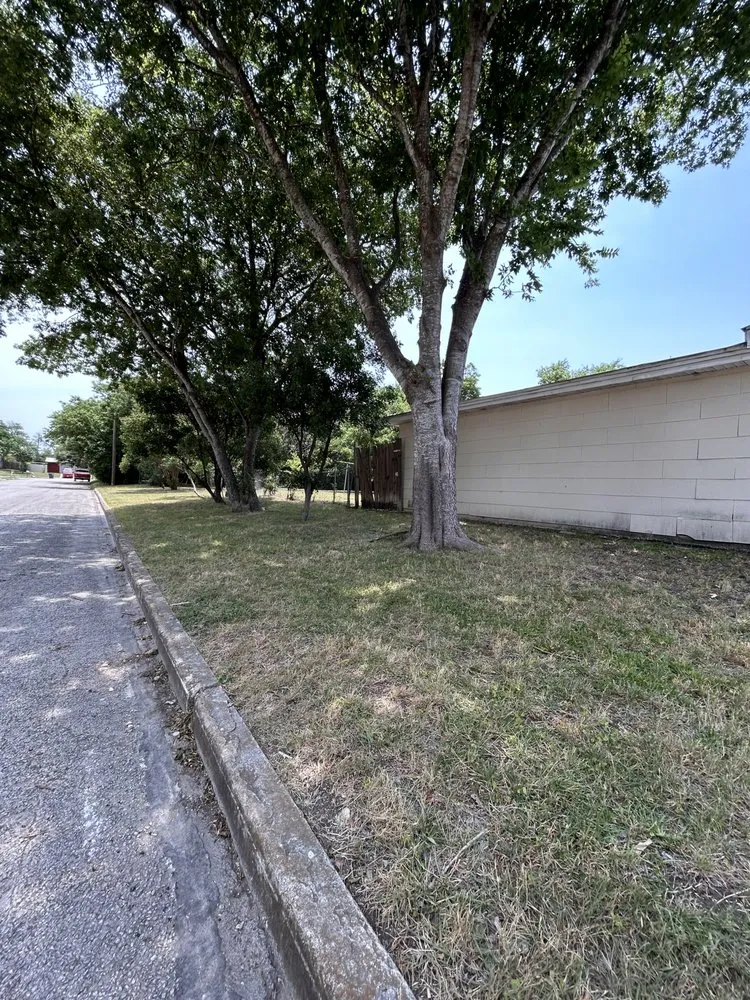 Expert landscape installation experts serving San Antonio, TX - Seguras Greens Lawncare