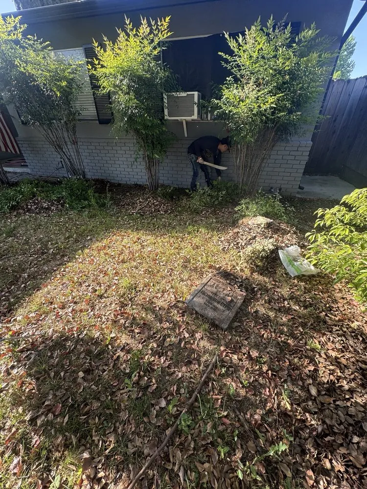 Local outdoor landscaping for residential properties in Turlock, CA by Seguras Services