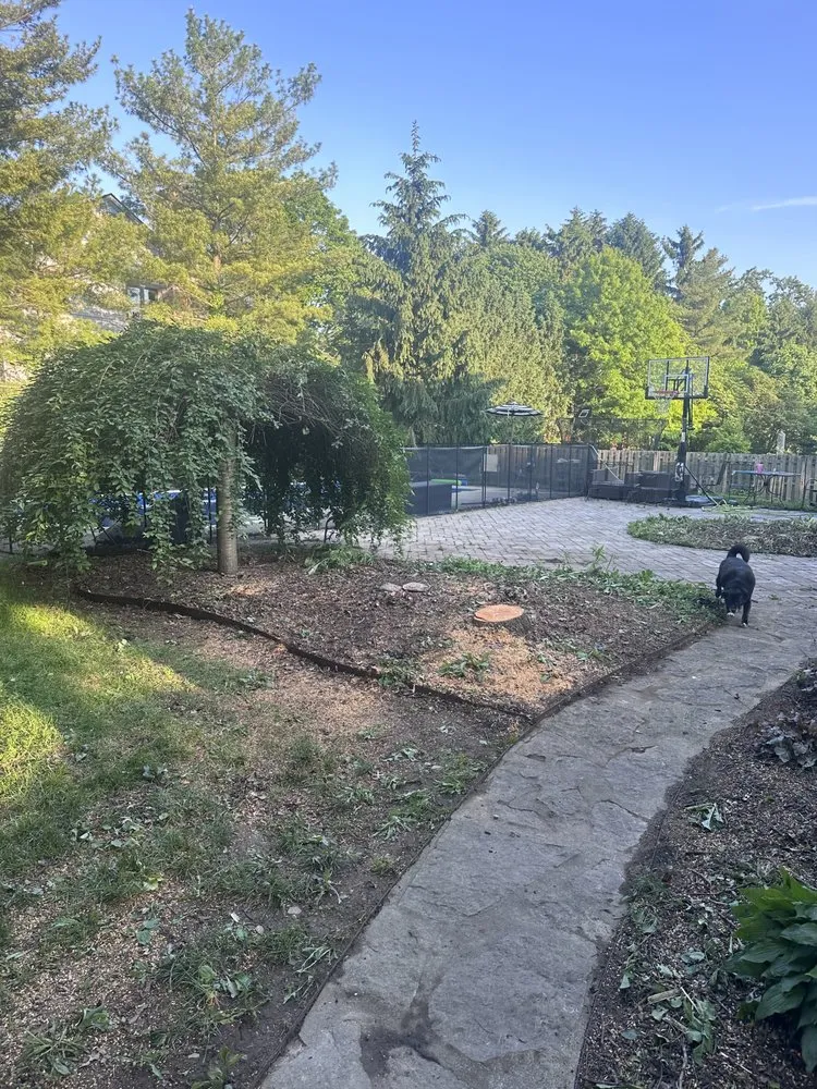 Trusted landscape installation for residential properties across Springfield, OH - Seiberts Tree Care