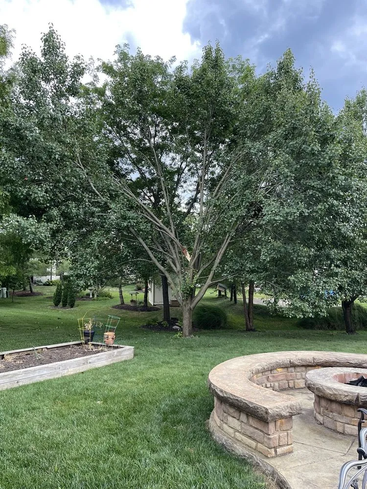 Top-rated landscape design in Springfield, OH by Seiberts Tree Care