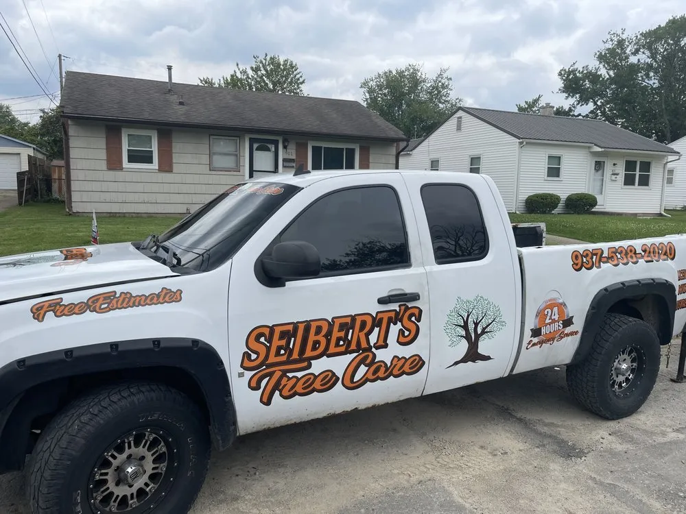 Trusted yard maintenance experts serving Springfield, OH - Seiberts Tree Care