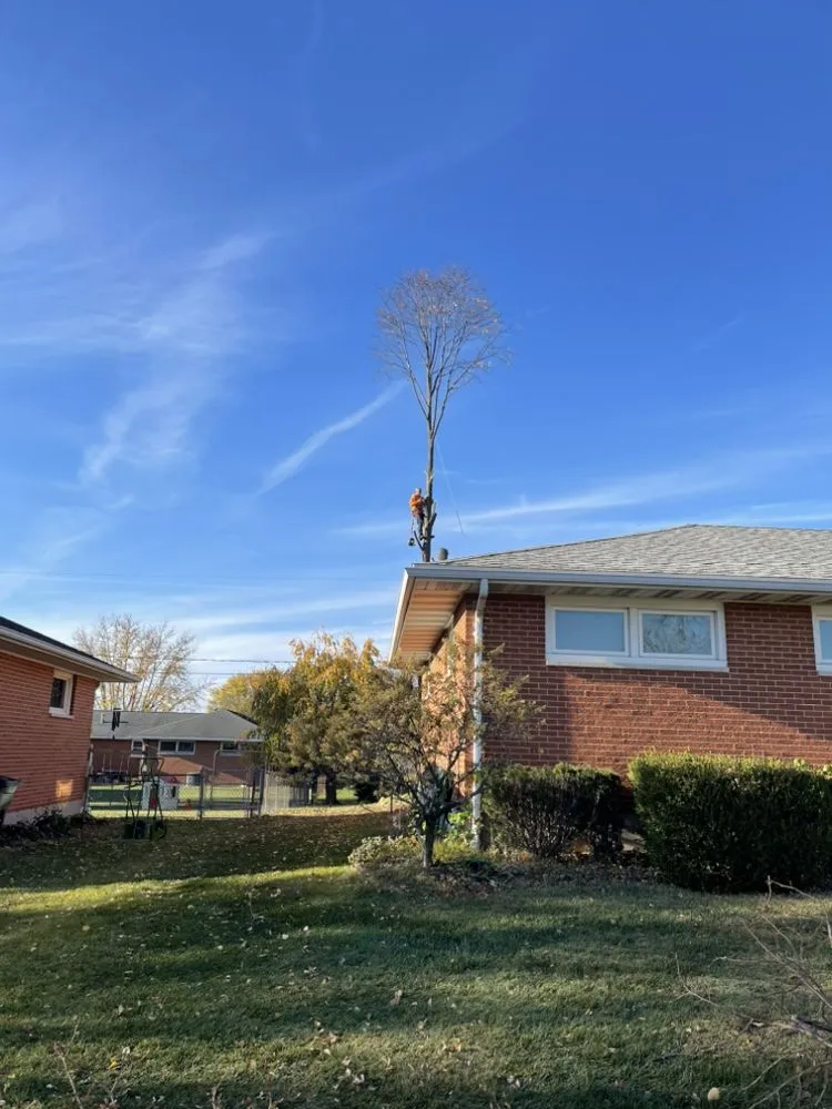Custom landscape installation in Springfield, OH - Seiberts Tree Care