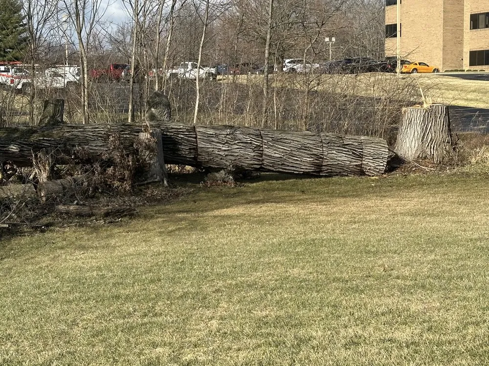 Custom landscape installation in Springfield, OH by Seiberts Tree Care