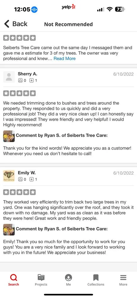 Expert yard maintenance in Springfield, OH by Seiberts Tree Care