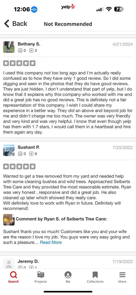 Custom yard cleanup service in Springfield, OH by Seiberts Tree Care