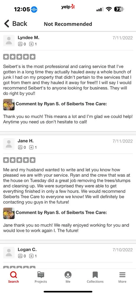 Professional landscape installation in Springfield, OH by Seiberts Tree Care