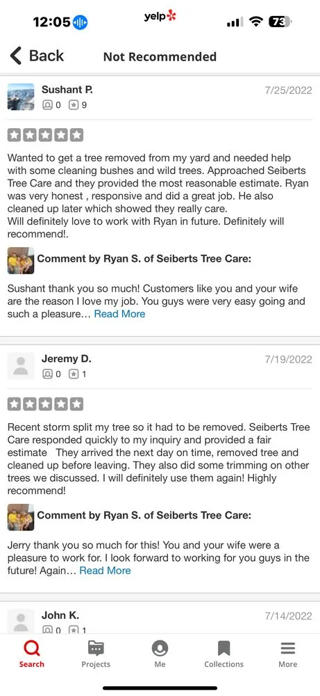 Custom yard cleanup service in Springfield, OH by Seiberts Tree Care