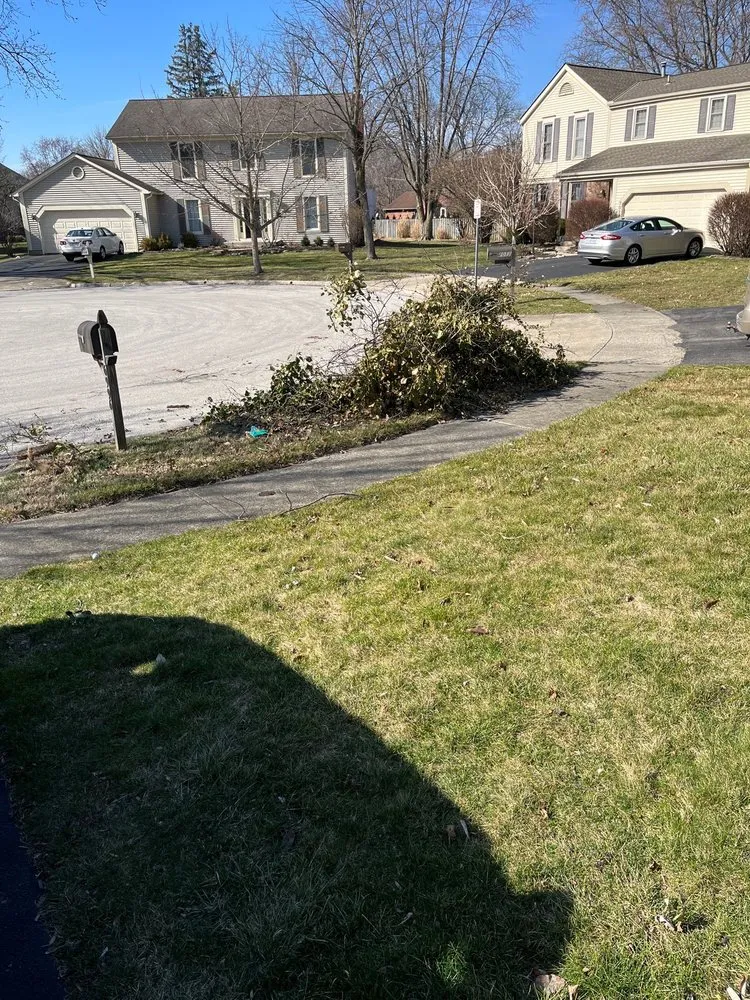 Affordable lawn mowing service near you in Springfield, OH by Seiberts Tree Care