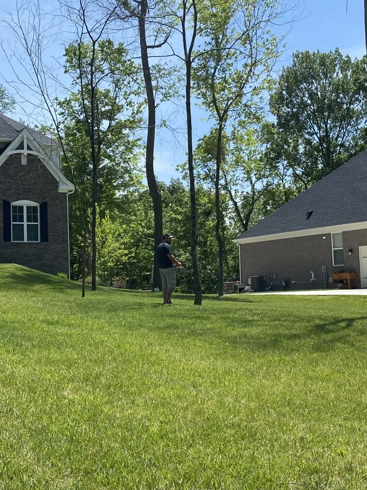 Local lawn mowing service with custom design across Springfield, OH - Seiberts Tree Care