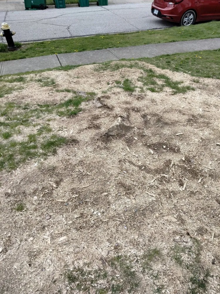 Affordable garden landscaping in Springfield, OH by Seiberts Tree Care