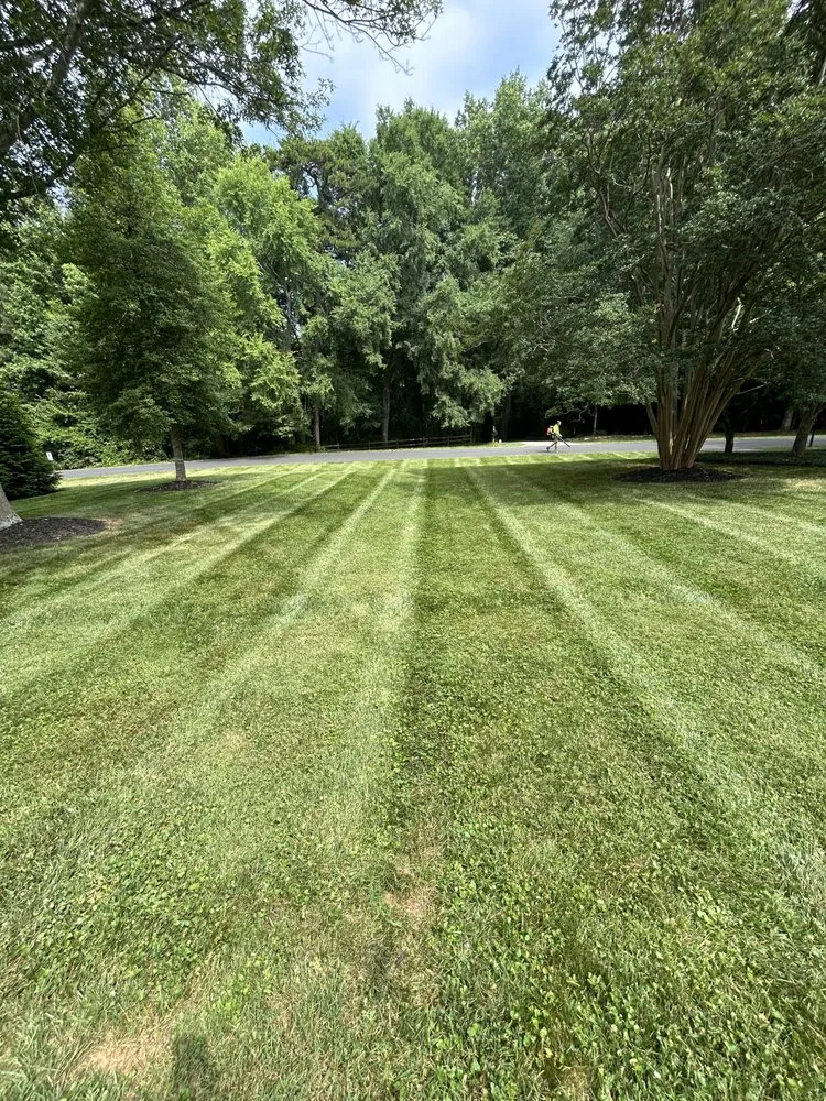Affordable landscaping services in Oak Ridge, NC - Seidle Auto Detailing & Lawn Care