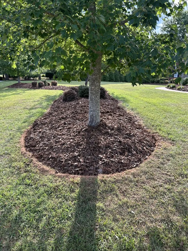 Trusted garden landscaping in Oak Ridge, NC - Seidle Auto Detailing & Lawn Care