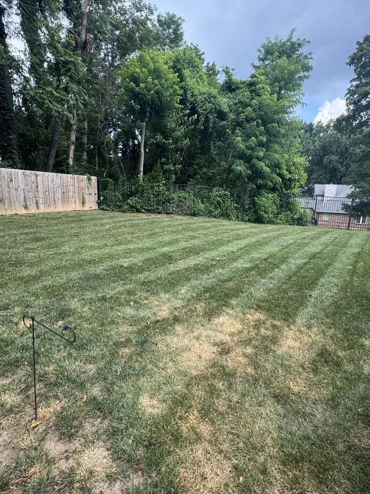 Custom residential landscaping in Evansville, IN - Seits Mowing and Pressure Washing
