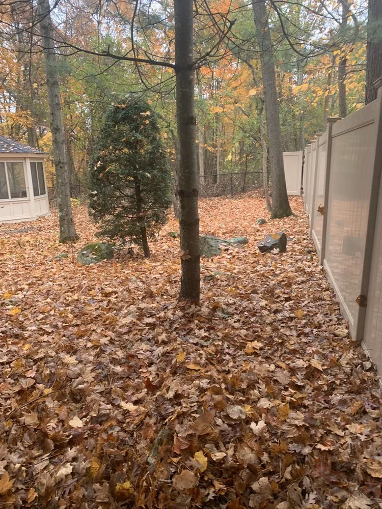 Expert yard maintenance for year-round maintenance in Rocky Hill, CT by Selarom Landscaping