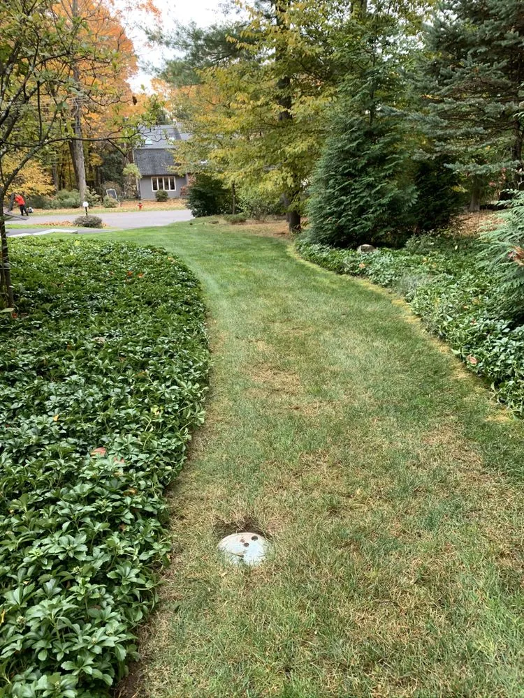 Trusted yard maintenance experts serving Rocky Hill, CT - Selarom Landscaping