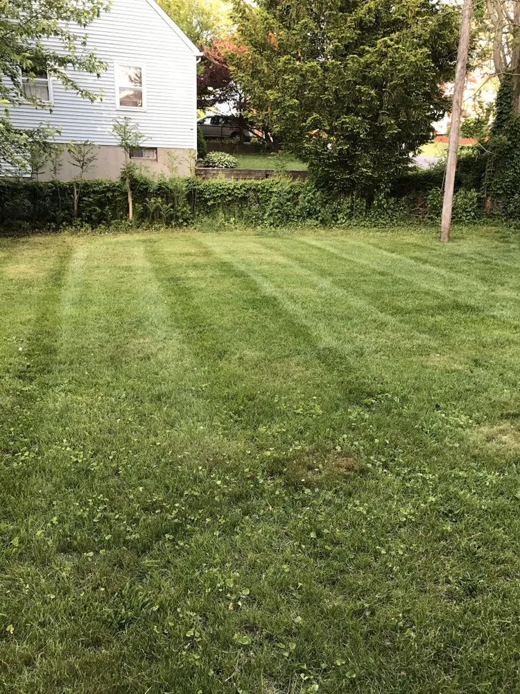 Custom residential landscaping in Rocky Hill, CT by Selarom Landscaping