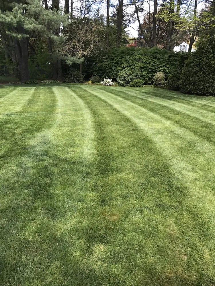 Trusted residential landscaping in Rocky Hill, CT by Selarom Landscaping