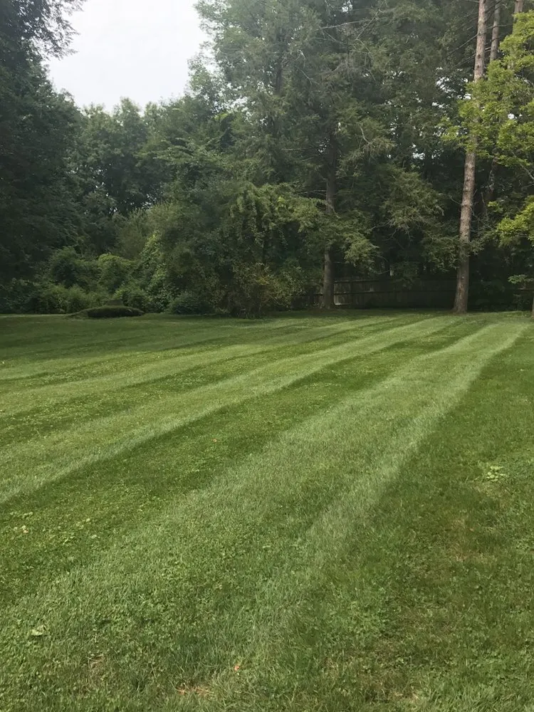 Affordable landscape installation in Rocky Hill, CT by Selarom Landscaping