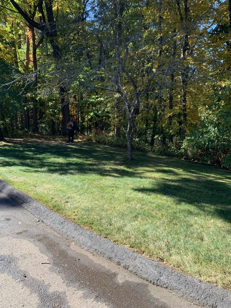 Affordable yard maintenance in Rocky Hill, CT by Selarom Landscaping