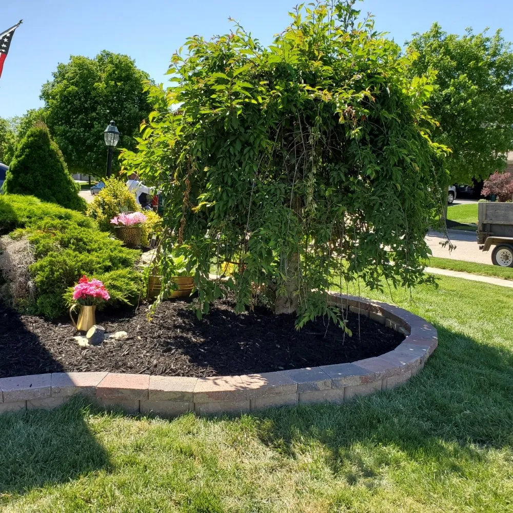 Professional outdoor landscaping for year-round maintenance in Whitehall, OH by Selby's Landscaping
