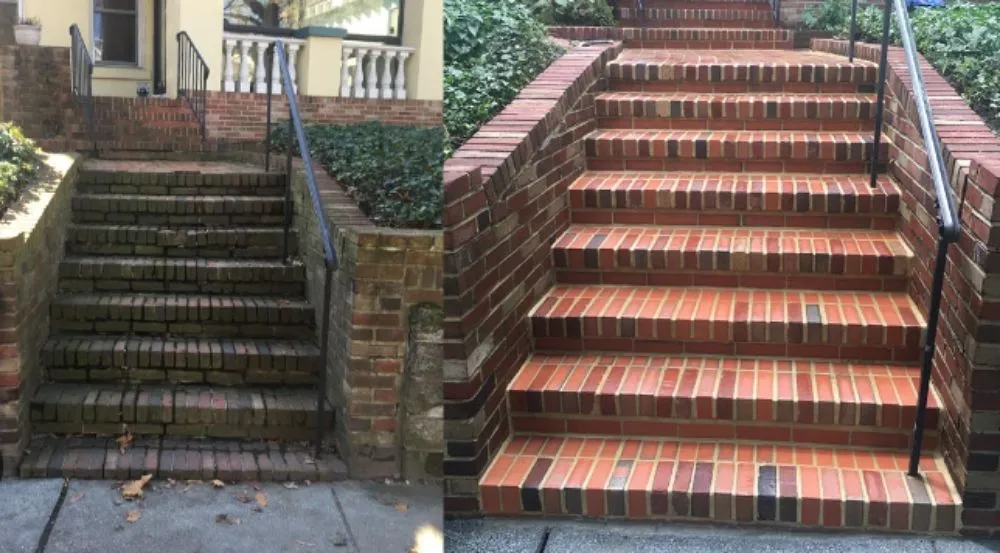 Trusted yard cleanup service for residential properties across Quincy, MA - Select Home Improvements