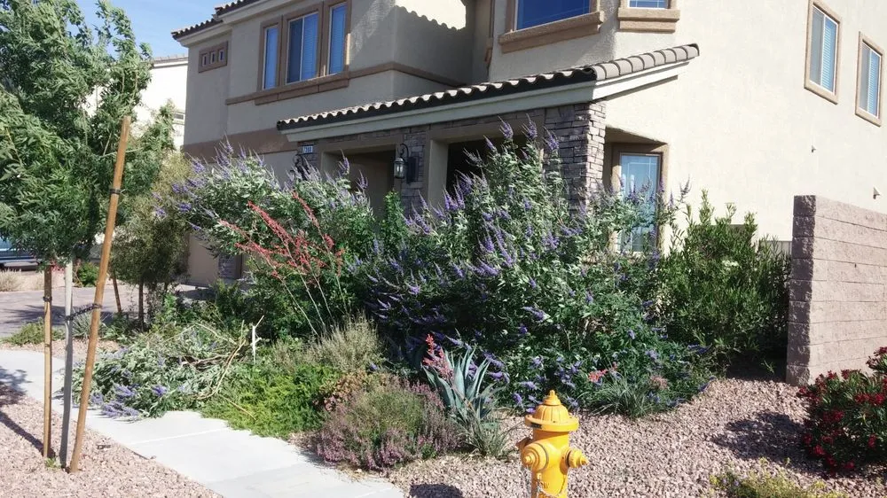 Custom yard maintenance in Las Vegas, NV by Select Landscape Services