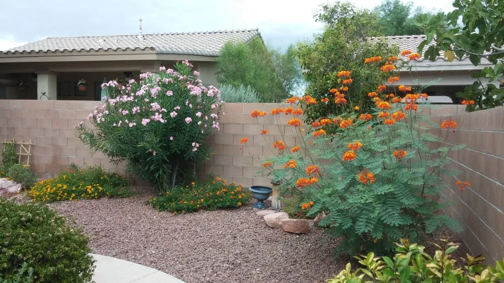 Reliable lawn mowing service in Las Vegas, NV - Select Landscape Services