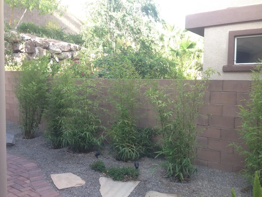 Local lawn care service for outdoor upgrades in Las Vegas, NV by Select Landscape Services