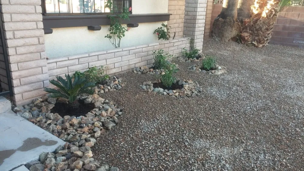 Affordable landscaping services for year-round maintenance in Las Vegas, NV by Select Landscape Services