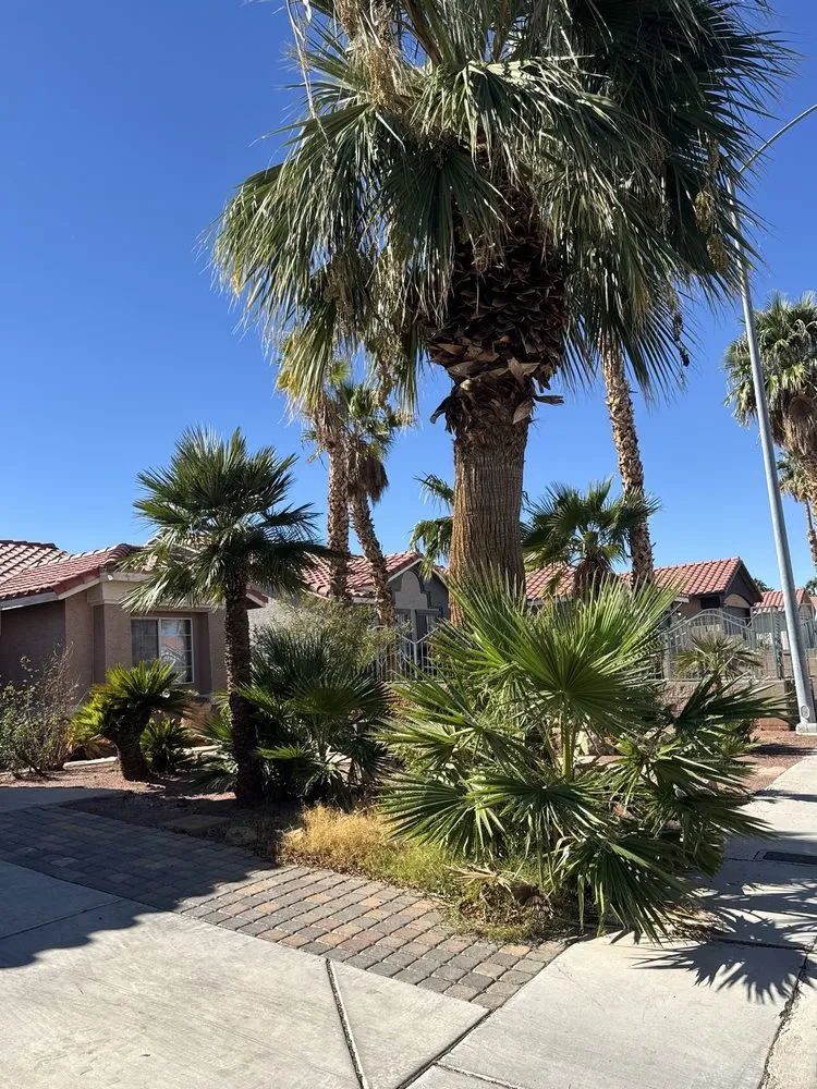 Local landscape design experts serving Las Vegas, NV - Select Landscape Services